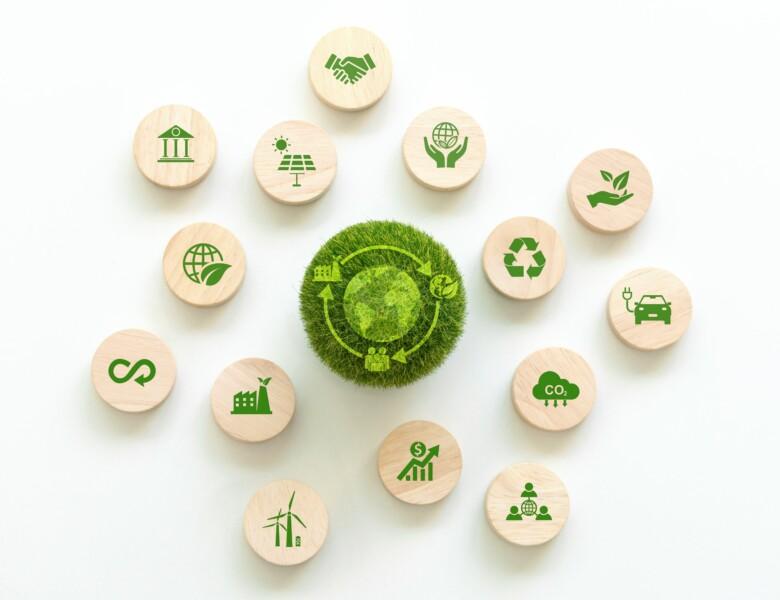 Sustainable supply chain management