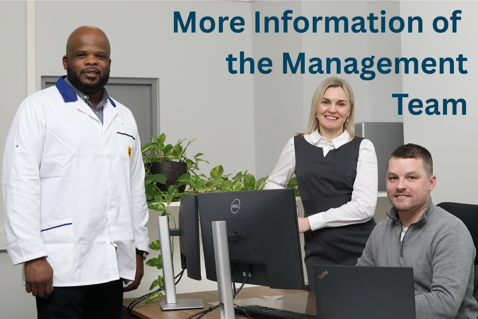 More information of the management team